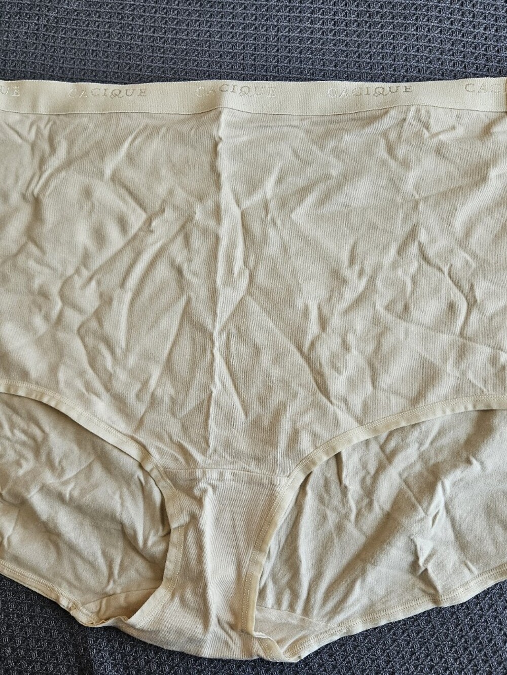 Nwt Plus Size Panty